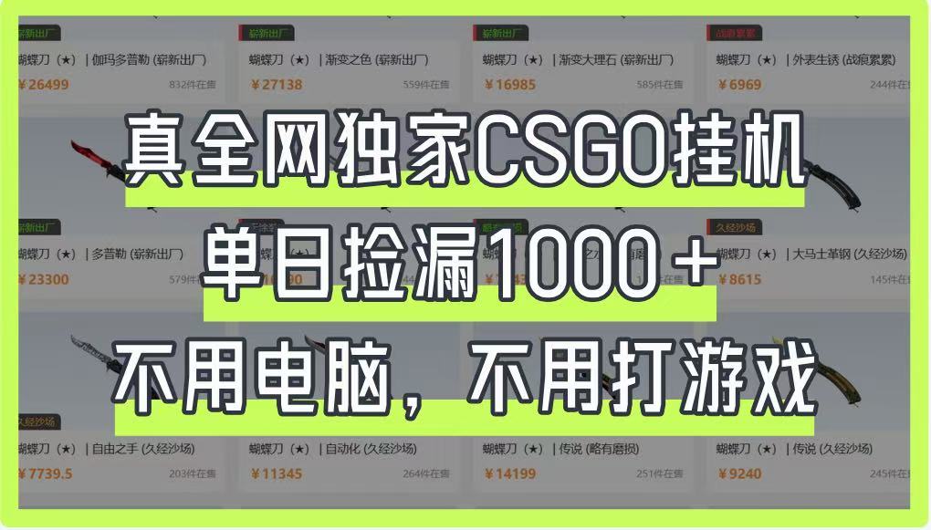 真全网独家CSGO挂机,单日捡漏1000+,不用电脑,不用养号插图 真全网独家CSGO挂机,单日捡漏1000+,不用电脑,不用养号插图