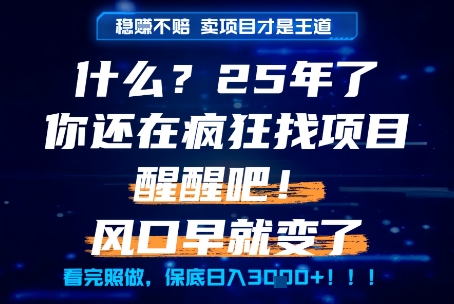 什么？25年你还在疯狂找项目做，醒醒吧，看完这些你全都懂了！【揭秘】 - 卡易购-数字权益卡券营销自助平台-卡易购-数字权益卡券营销自助平台