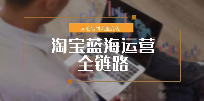 淘宝蓝海运营全链路，从选品到流量变现，小类目突围完整方案 - 卡易购-数字权益卡券营销自助平台-卡易购-数字权益卡券营销自助平台