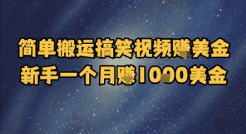 简单搬运搞笑视频挣美金，新手一个月入1k美金 - 卡易购-数字权益卡券营销自助平台-卡易购-数字权益卡券营销自助平台